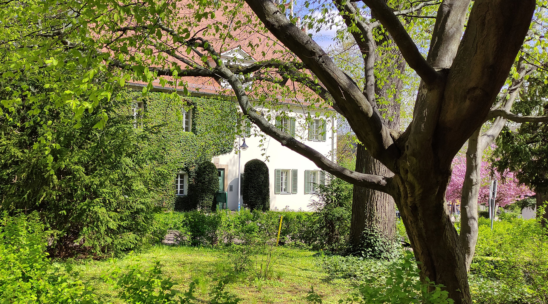 Grüner Park in Altenburg, Standesamt