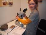 edlen_steine.highlight